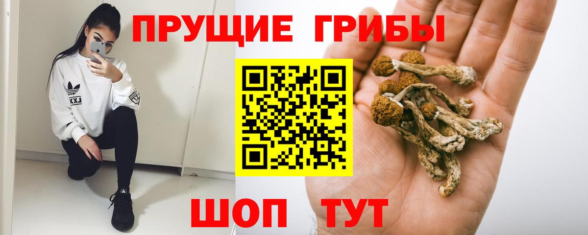 Псилоцибиновые грибы GOLDEN TEACHER  Псилоцибиновые грибы Psilocybe  Вход с VPN  Гусь-Хрустальный 